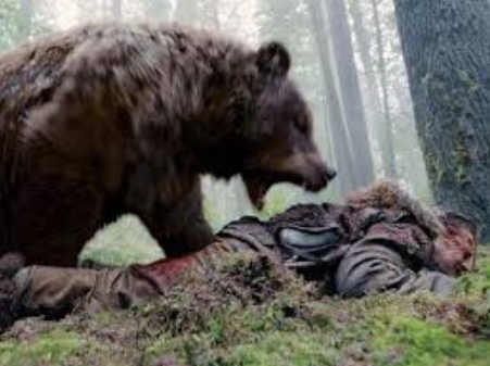 можно ли кормить медведя в лесу
